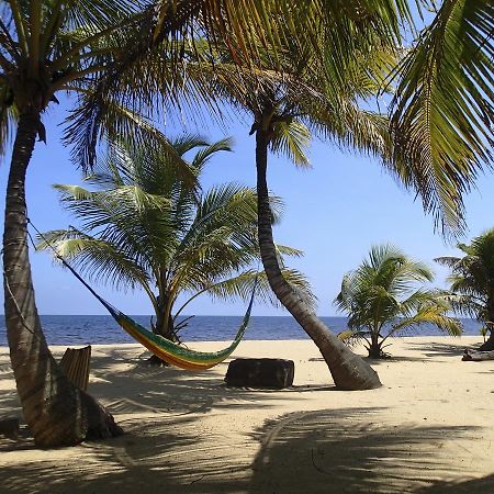 Hotel Sabal Beach Monkey River Town Exterior foto